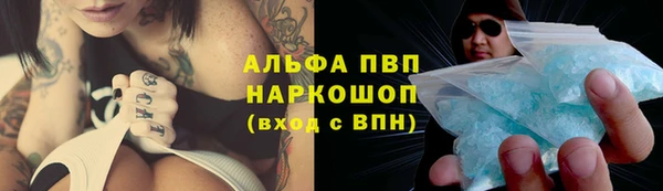 гашик Богородск