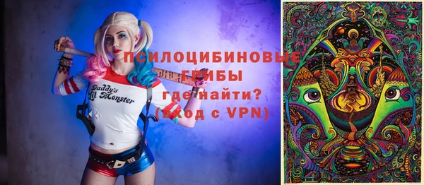 таблы Богородицк