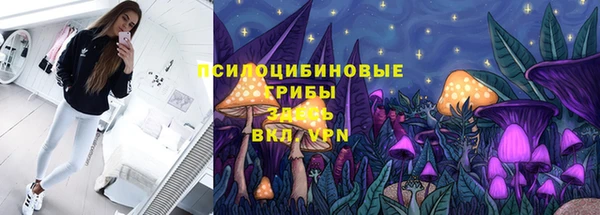 соль курить ск Богданович