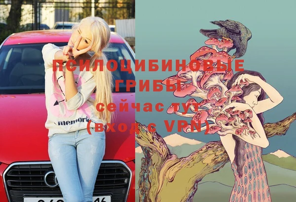 таблы Богородицк
