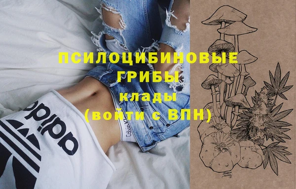 таблы Богородицк