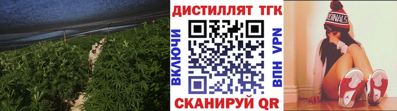 Дистиллят ТГК Wax  Купить где  Благодарный 